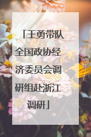 王勇带队全国政协经济委员会调研组赴浙江调研