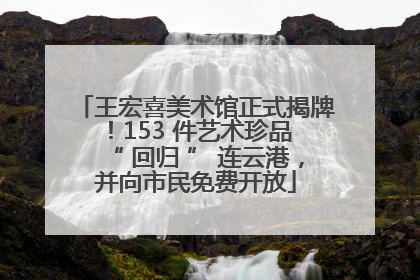 王宏喜美术馆正式揭牌！153 件艺术珍品 “ 回归 ” 连云港，并向市民免费开放