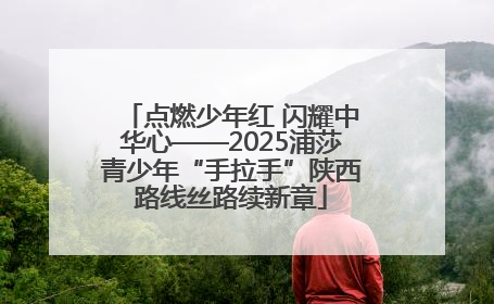 点燃少年红 闪耀中华心——2025浦莎青少年“手拉手”陕西路线丝路续新章
