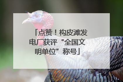 点赞！构皮滩发电厂获评“全国文明单位”称号