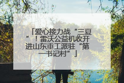 爱心接力战“三夏”！雷沃公益机收开进山东重工派驻“第一书记村”