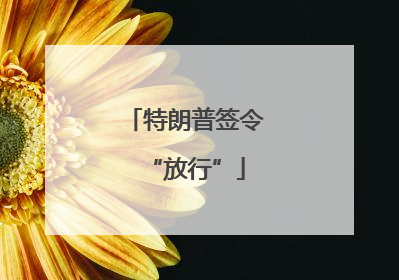 特朗普签令“放行”