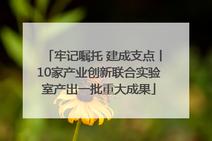 牢记嘱托 建成支点丨10家产业创新联合实验室产出一批重大成果