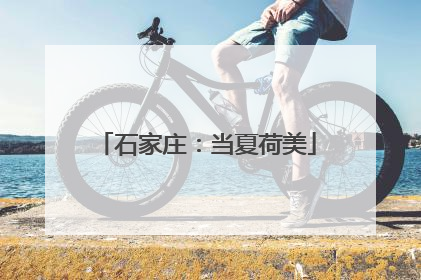 石家庄：当夏荷美