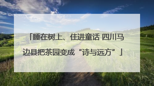 睡在树上、住进童话 四川马边县把茶园变成“诗与远方”