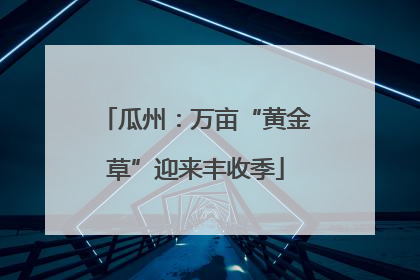 瓜州：万亩“黄金草”迎来丰收季