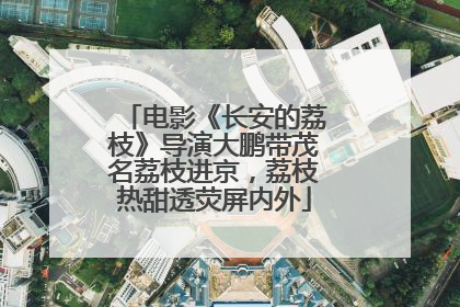 电影《长安的荔枝》导演大鹏带茂名荔枝进京，荔枝热甜透荧屏内外