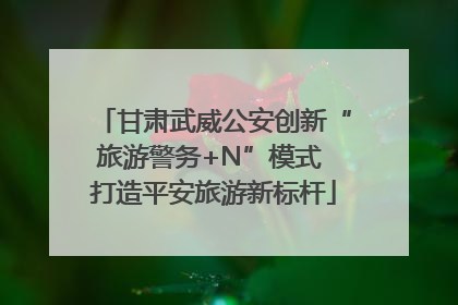 甘肃武威公安创新“旅游警务+N”模式 打造平安旅游新标杆