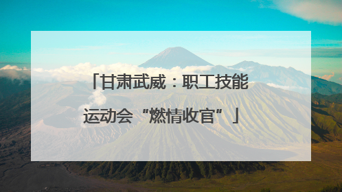 甘肃武威：职工技能运动会“燃情收官”