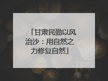 甘肃民勤以风治沙：用自然之力修复自然