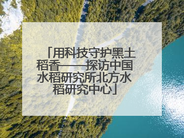用科技守护黑土稻香——探访中国水稻研究所北方水稻研究中心