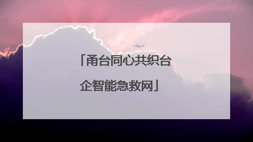 甬台同心共织台企智能急救网