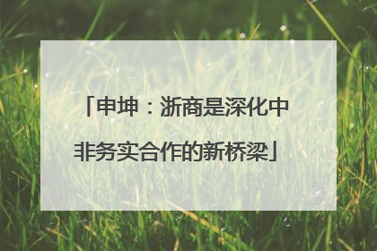 申坤：浙商是深化中非务实合作的新桥梁