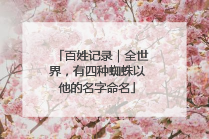 百姓记录｜全世界，有四种蜘蛛以他的名字命名
