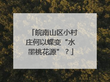 皖南山区小村庄何以蝶变“水墨桃花源”？