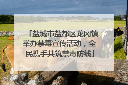 盐城市盐都区龙冈镇举办禁毒宣传活动，全民携手共筑禁毒防线