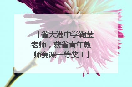省大港中学鞠莹老师，获省青年教师赛课一等奖！