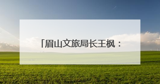 眉山文旅局长王枫：锚定“两城两地” 推进眉山文旅融合高质量发展｜文旅局长说