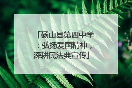 砀山县第四中学：弘扬爱国精神，深耕民法典宣传