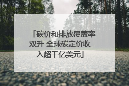 碳价和排放覆盖率双升 全球碳定价收入超千亿美元