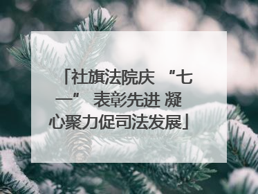 社旗法院庆 “七一” 表彰先进 凝心聚力促司法发展