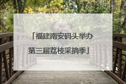 福建南安码头举办第三届荔枝采摘季
