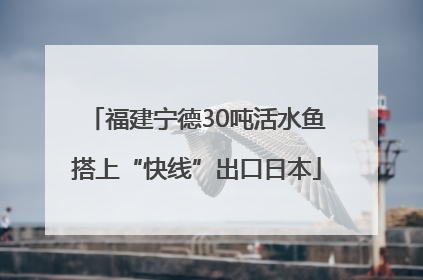 福建宁德30吨活水鱼搭上“快线”出口日本