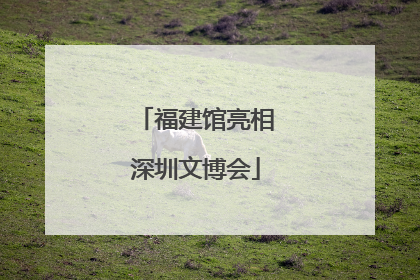 福建馆亮相深圳文博会