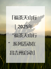 福茶天山行｜2025年“福茶天山行”系列活动在昌吉州启动