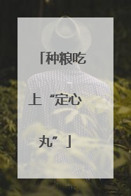 种粮吃上“定心丸”
