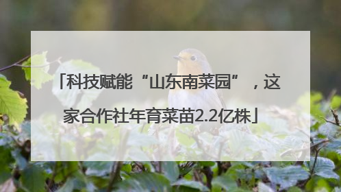 科技赋能“山东南菜园”，这家合作社年育菜苗2.2亿株