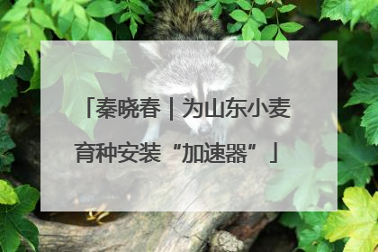 秦晓春｜为山东小麦育种安装“加速器”