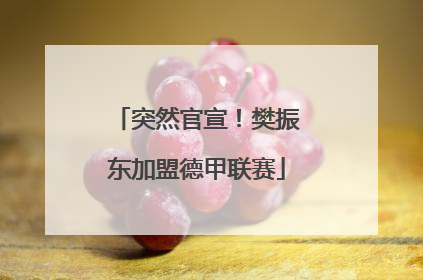 突然官宣！樊振东加盟德甲联赛