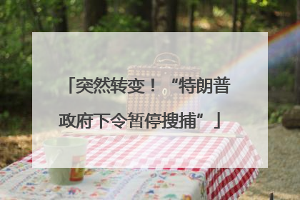 突然转变！“特朗普政府下令暂停搜捕”