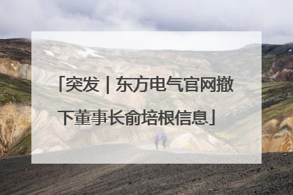 突发｜东方电气官网撤下董事长俞培根信息