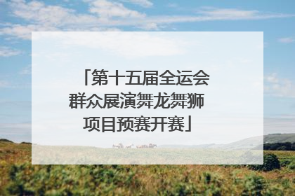 第十五届全运会群众展演舞龙舞狮项目预赛开赛