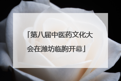 第八届中医药文化大会在潍坊临朐开幕