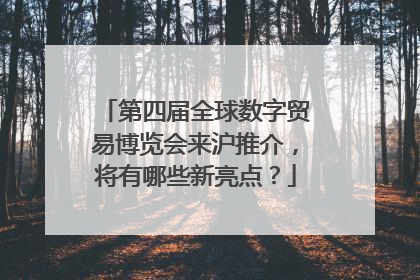 第四届全球数字贸易博览会来沪推介，将有哪些新亮点？