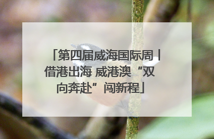 第四届威海国际周丨借港出海 威港澳“双向奔赴”闯新程