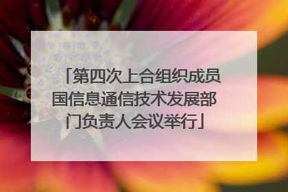 第四次上合组织成员国信息通信技术发展部门负责人会议举行