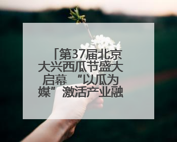 第37届北京大兴西瓜节盛大启幕 “以瓜为媒”激活产业融合发展新动能