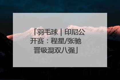 羽毛球｜印尼公开赛：程星/张驰晋级混双八强