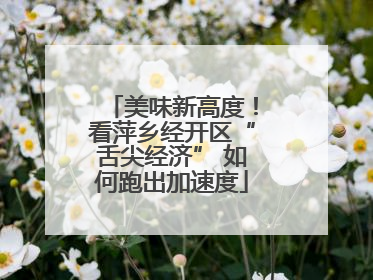 美味新高度！看萍乡经开区“舌尖经济” 如何跑出加速度