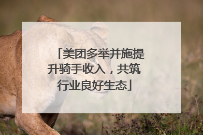 美团多举并施提升骑手收入，共筑行业良好生态