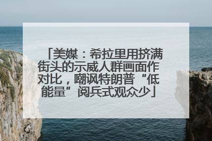 美媒：希拉里用挤满街头的示威人群画面作对比，嘲讽特朗普“低能量”阅兵式观众少