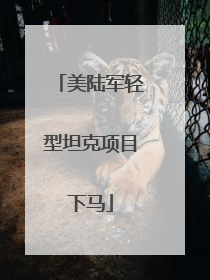 美陆军轻型坦克项目下马