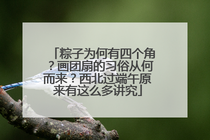 粽子为何有四个角？画团扇的习俗从何而来？西北过端午原来有这么多讲究