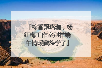 粽香飘珞珈，杨红梅工作室别样端午情暖藏族学子