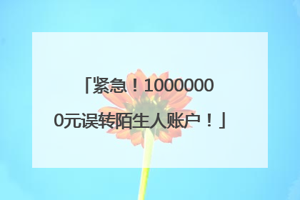 紧急！10000000元误转陌生人账户！