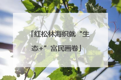 红松林海织就“生态+”富民画卷